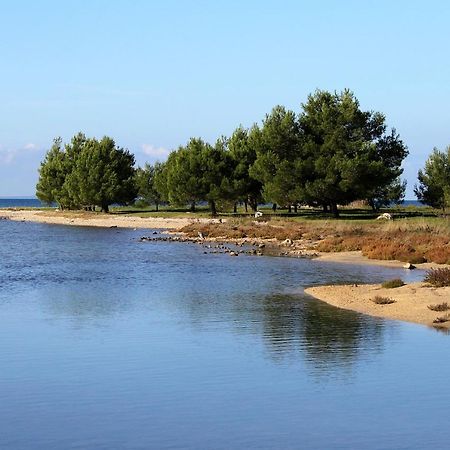זאטון Apartments With A Parking Space Zaton, Zadar - 15000 מראה חיצוני תמונה